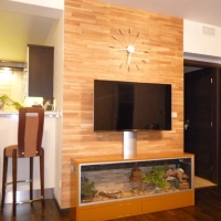 TV stěna v rodinném domě